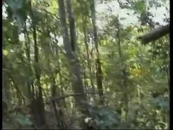 Myanmar: Fighting: Guerrilla conflicts continue unabated News Clip