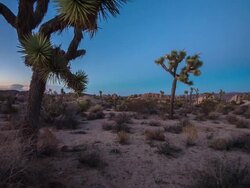Desert Stock Footage