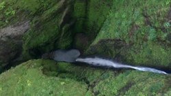 Sacred Falls waterfall in Oahu, Hawaii, seen from above. Stock Footage
