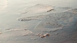 Ice pieces floating in water Stock Footage