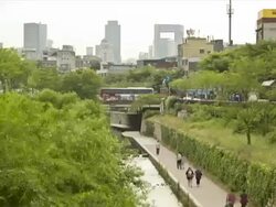 Cheonggyecheon stream in Seoul Stock Footage