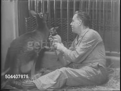 Zoo News: Twin Kangaroos and Panda Birthday News Clip