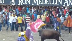 CLEAN: Bullfights and beauty queens for Colombian festival News Clip