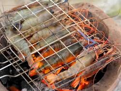 Grilled shrimp. Stock Footage