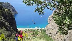 Walking in the Butterfly Valley Stock Footage