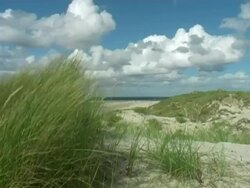 Amrum - dunes near the beach Stock Footage