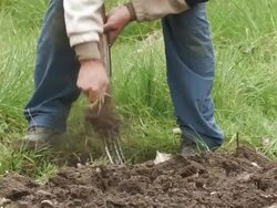 Farmer Stock Footage