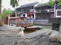 MS View of dog sleeping near by river in village of Zhujiajiao / Shanghai,  China Stock Footage