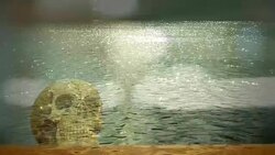 abstract skull in the water Stock Footage