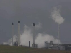 Bird Life At Elmley Marshes Stock Footage