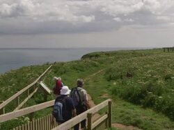 BEMPTON CLIFFS Stock Footage