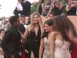 Cannes Film Festival 2009: Vengeance Steps Stock Footage