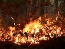 Rim Fire Burns Near Yosemite National Park Stock Footage