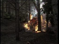 Italy: Sicily: Etna News Clip