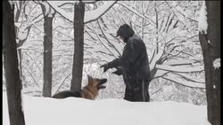 Heavy snowfall and windstorms cause major disruption News Clip