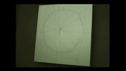 Stefan Sagmeister: Things I've learned in my life so far Instructional Video