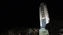 CLEAN : New Zealanders turn out in record numbers to honour war dead News Clip