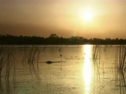WS Sunset over water and mangroves / Kakadu National Park , Australia     Stock Footage