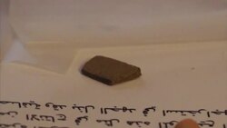 Commission sets sights on reforming controversial drug laws News Clip