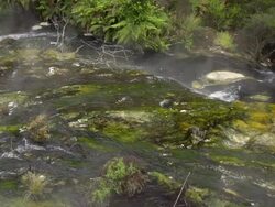 SLOW MOTION: Hot Spring Stock Footage