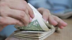 Counting money Dollars Cash banknote,Close-up Stock Footage