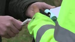 Christmas Tree Farm Worker News Clip