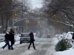 Snowy day in Park Slope Brooklyn. Stock Footage