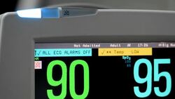 heartbeat Stock Footage