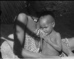 NIGER CELEBRATION News Clip