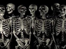 (Loop) Halloween, Welcoming Party of Skeletons Stock Footage