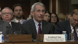 Dr. Anthony Fauci of the National Institute of Allergy and Infectious Diseases outlined plans Wednesday for clinical trials of a possible Ebola vaccine in West Africa and said researchers could know by the middle of 2015 if it's effective. (Nov. 12) News Clip