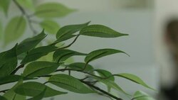 At the office. Cheerful conversation Stock Footage