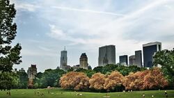 Central park at rainy day Stock Footage