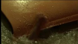 An accident victim tries to escape a sinking car. Stock Footage