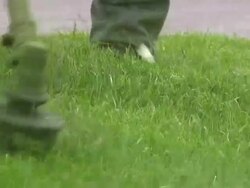 Gardening service. Landscaping workers. Stock Footage