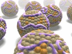 High cholesterol levels. Stock Footage