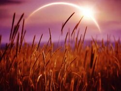 Solar Eclipse Stock Footage