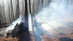 The King Fire that burned 97,717 acres of the El Dorado National Forest in California, USA. Following an unprecedented four year long drought, wild fires are much more common. Most of California is in exceptional drought, the highest level of drought class Stock Footage