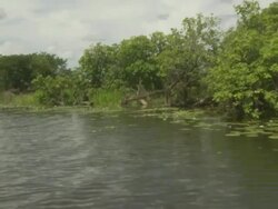 South Alligator River, Kakadu National Park, NT, Australia Stock Footage