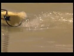 Divers continue search for missing girl News Clip