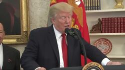 Trump: Tax Cuts Will Restore US Competitive Edge News Clip