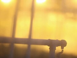 Gardening Greenhouse at night - multiple clips Stock Footage