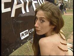 Naked protest against treatment of circus animals News Clip