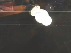 Shaky grunge lightbulb flickering. HD Stock Footage