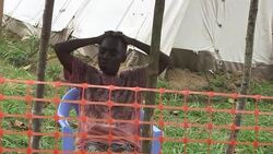 CLEAN : FILE: DR Congo declares end of Ebola outbreak News Clip