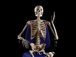 Human skeletal sitting at chair and talking Stock Footage