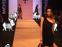 Models on the runway at Buenos Aires Fashion Week on February 24, 2011, in Buenos Aires, Argentina. (Footage by Meche Marmol/LatinContent/Getty Images) Stock Footage