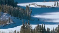 A dogsled team races across the winter landscape during the Yukon Quest sled dog race in Canada. Stock Footage