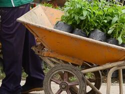 Delivery Stock Footage