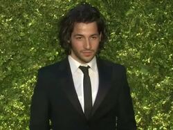 Guest at the Green Auction Stock Footage